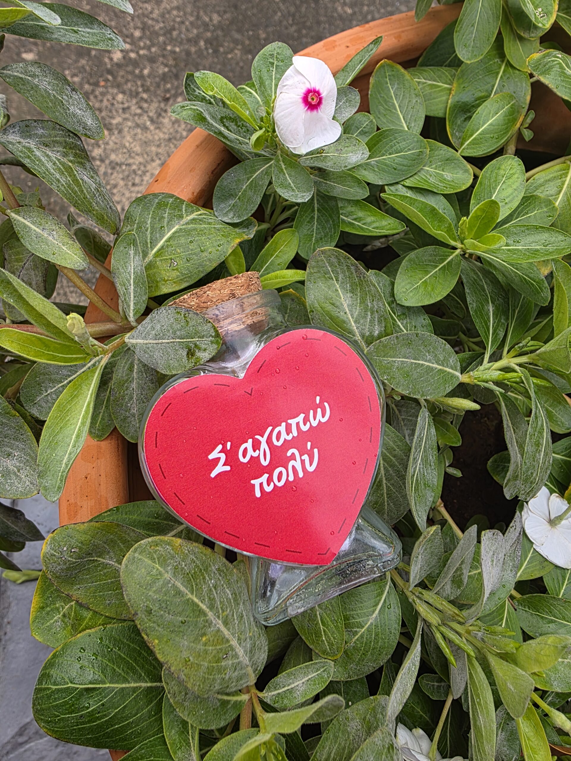 Το φάρμακο της ψυχής 💊❤️ - Image 4